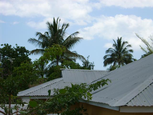 640x480/JD500131.jpg