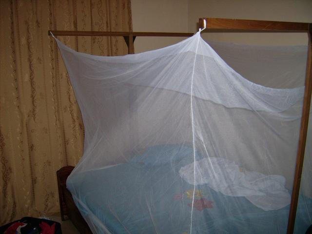 640x480/JD500140.jpg