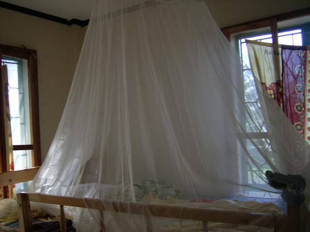 640x480/JD500235.jpg