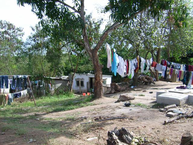 640x480/JD500274.JPG