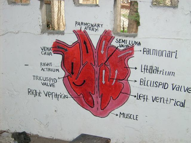 640x480/JD500290.JPG