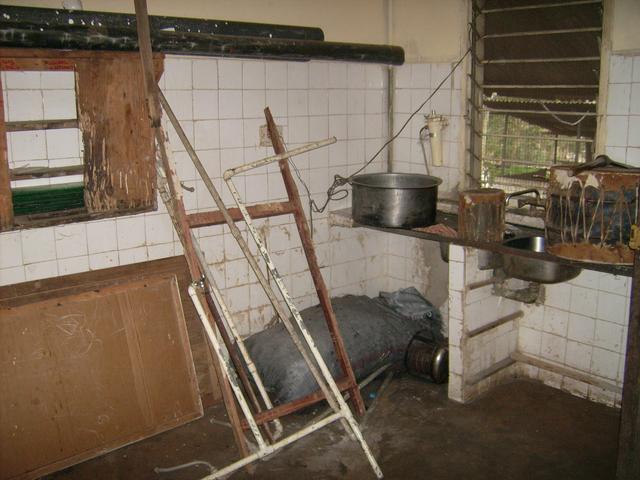 640x480/JD500298.JPG