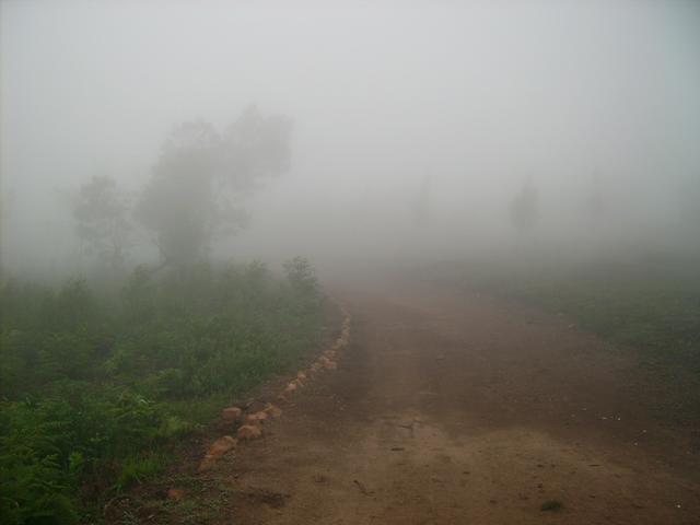 640x480/JD500318.jpg