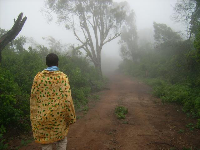 640x480/JD500323.jpg