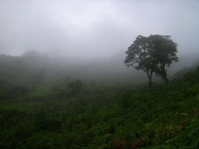 640x480/JD500331.jpg