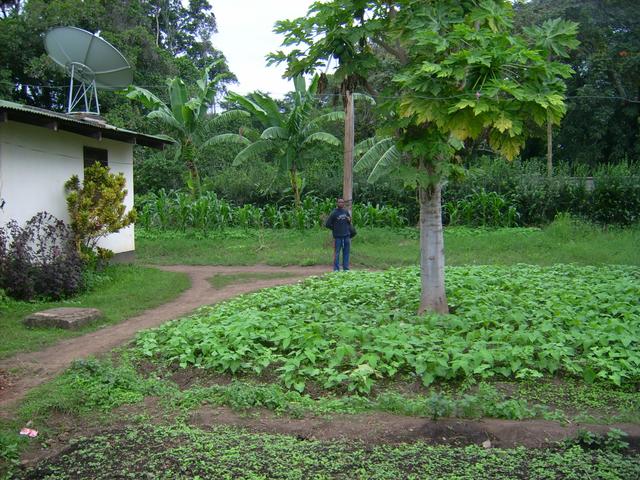 640x480/JD500701.JPG