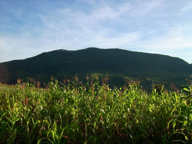 640x480/jd500790.jpg