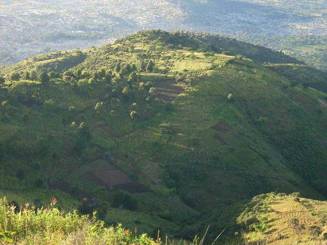 640x480/jd500793.jpg