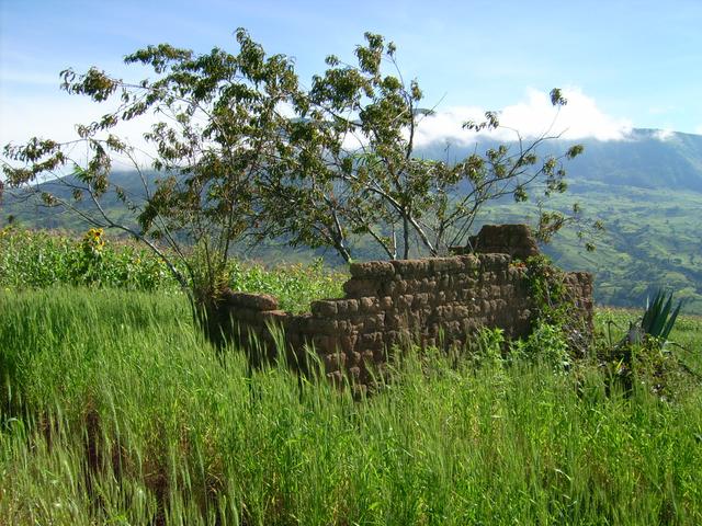 640x480/jd500802.jpg