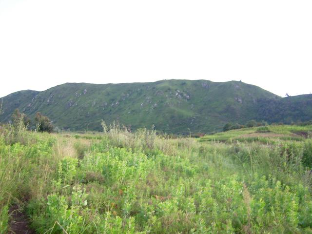640x480/jd500829.jpg