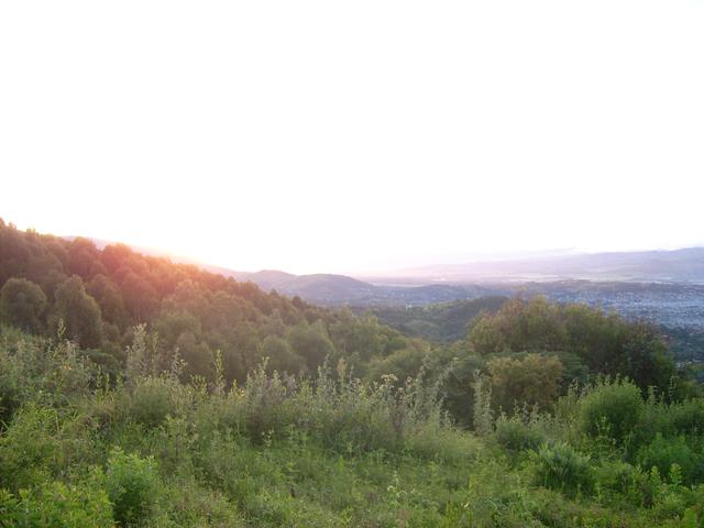 640x480/jd500832.jpg