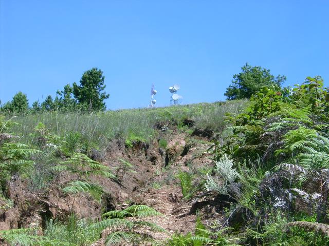 640x480/jd500834.jpg