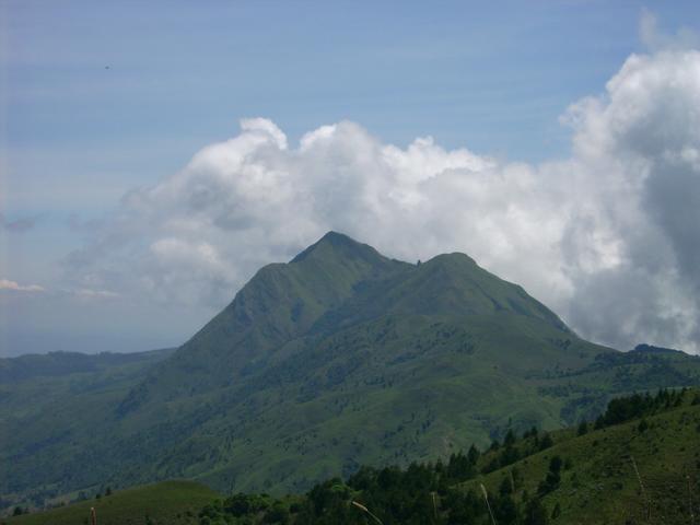 640x480/jd500850.jpg