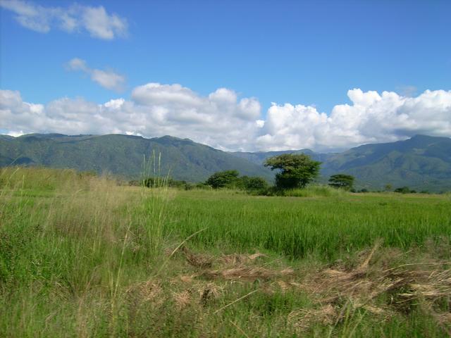 640x480/jd500856.jpg